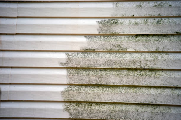 Best Construction Debris Removal  in Middleborough Center, MA